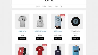 Photo of Take a look at the 10 best eCommerce themes for WordPress.