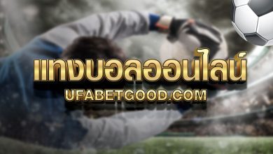 Photo of How can you win in the Online games in Thailand ?