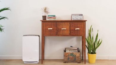 Photo of Tips to Pick an Air Purifier for Your Home